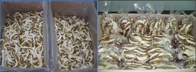 Ekopromet doo vrganj, smrčak, lisičarka, crna truba, porcino, chanterelle, morel mushrooms
